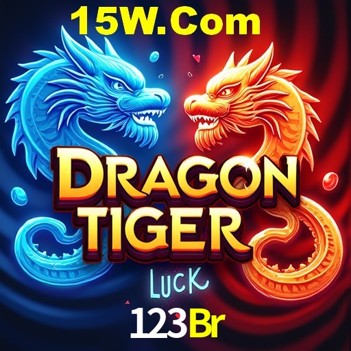 Secure Login 123Br
